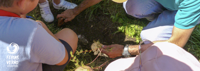 Vamos Cuidar das Plantas